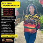 CARONI SIP & PAINT