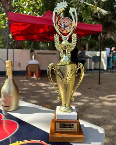 438716471_18067961722502268_2287268392908516439_n